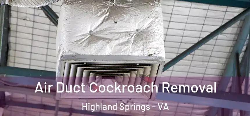 Air Duct Cockroach Removal Highland Springs - VA