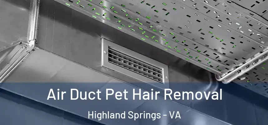  Air Duct Pet Hair Removal Highland Springs - VA