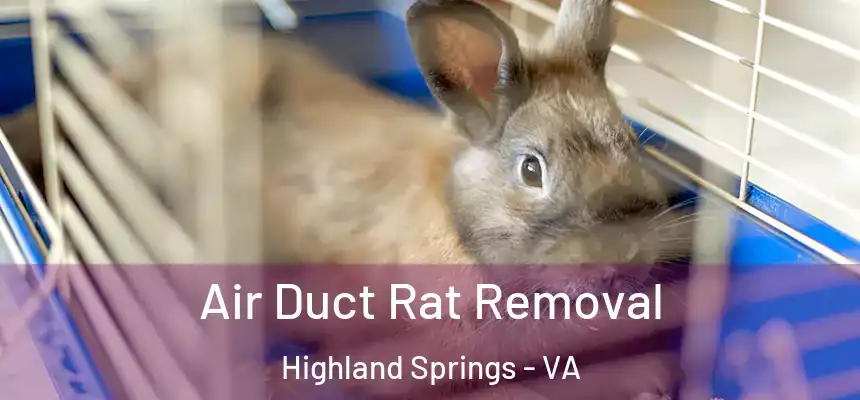  Air Duct Rat Removal Highland Springs - VA