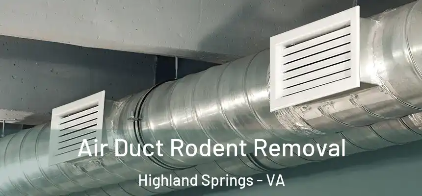  Air Duct Rodent Removal Highland Springs - VA