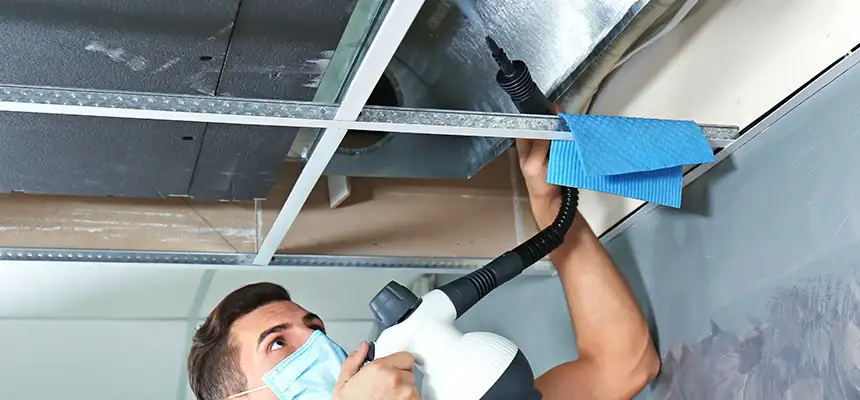 Our Air Duct Rodent Removal Services in Highland Springs, VA