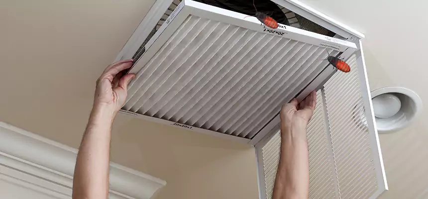 Our Insect Removal from Air Ducts Services in Highland Springs, VA