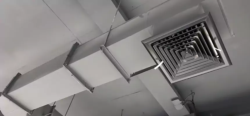 Our Pest Removal From Ducts Services in Highland Springs, VA