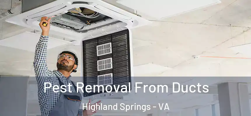  Pest Removal From Ducts Highland Springs - VA