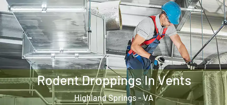  Rodent Droppings In Vents Highland Springs - VA
