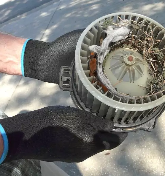 About Air Duct Mice Removal in Highland Springs, VA