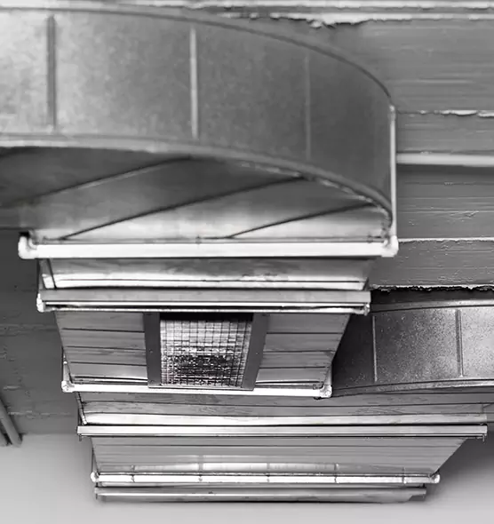 Professional Air Duct Pest Removal in Highland Springs, VA