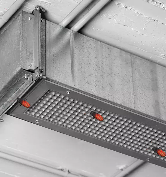 Affordable Insect Removal from Air Ducts in Highland Springs, VA