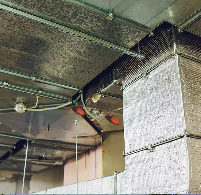 Why Homeowners & Businesses Trust Us in Highland Springs, VA?