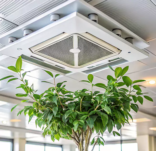 Why Homeowners & Businesses Trust Us in Highland Springs, VA?